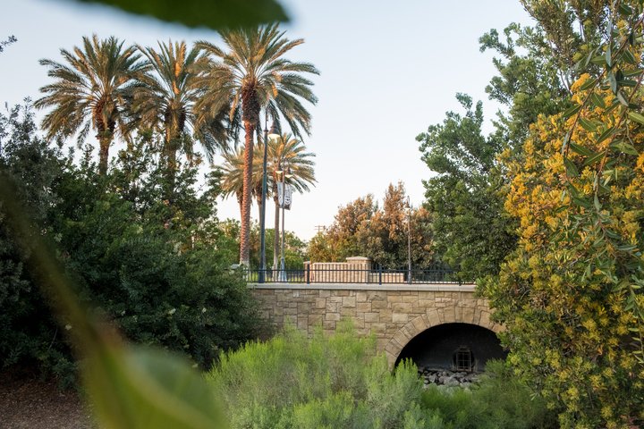 campus bridge